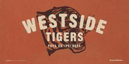 Timberlake Font Poster 6