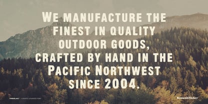 Timberlake Font Poster 4