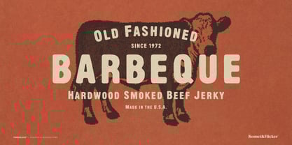 Timberlake Font Poster 11