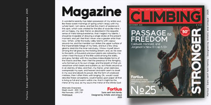 Fortius Font Poster 9