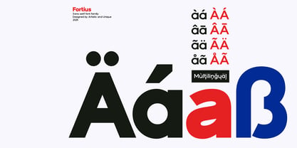 Fortius Font Poster 3