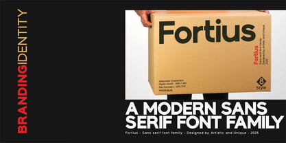 Fortius Font Poster 13