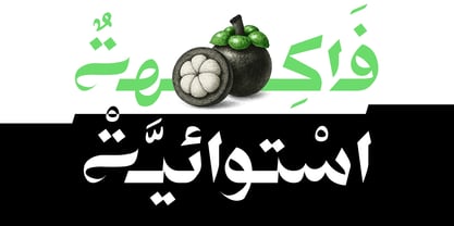 Best F. Ever Arabic Font Poster 8
