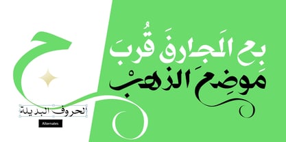 Best F. Ever Arabic Font Poster 6