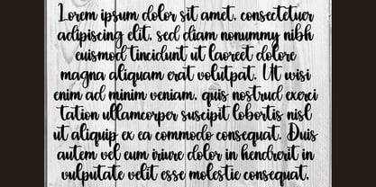 Fiorielle Font Poster 3