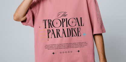 Palmer Florida Font Poster 4