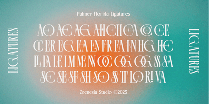 Palmer Florida Font Poster 15