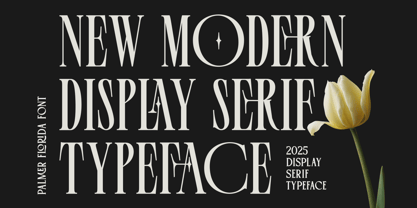 Palmer Florida Font Poster 11