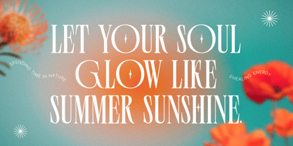 Palmer Florida Font Poster 2