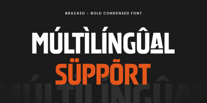 Bracked Font Poster 12