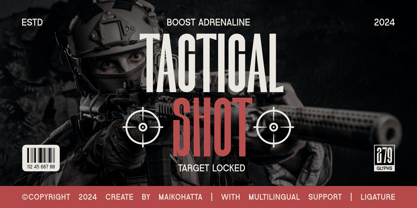 Polarion Font Poster 6