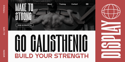 Polarion Font Poster 2