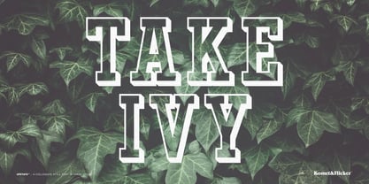 UPSTATE Font Poster 12