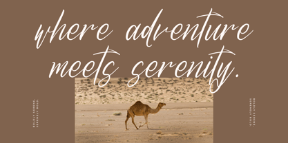 Qenithamy Blainora Font Poster 2