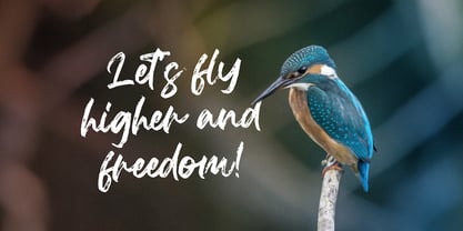 Agethsa Font Poster 4