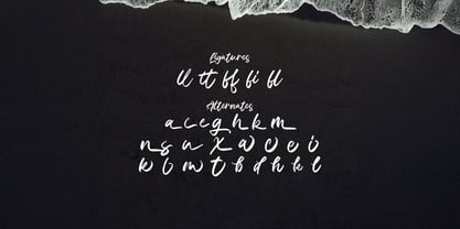 Celline Fram Font Poster 9