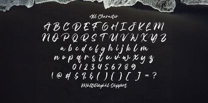 Celline Fram Font Poster 8