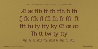 Northlake Font Poster 14