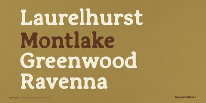 Northlake Font Poster 9