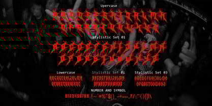 Malection Font Poster 6