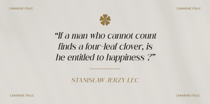 Camarine Font Poster 2