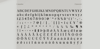 Camarine Font Poster 6
