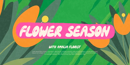 Frazel Spring Font Poster 2