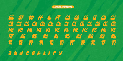 Frazel Spring Font Poster 12