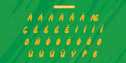 Frazel Spring Font Poster 11