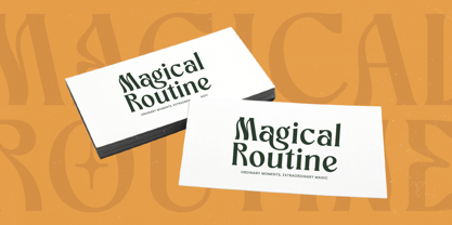 Bottarie Font Poster 6