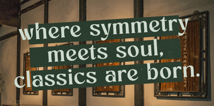 Bottarie Font Poster 11