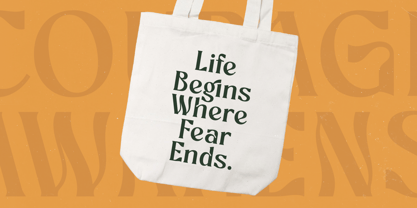 Bottarie Font Poster 12