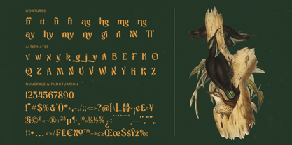 Bottarie Font Poster 15