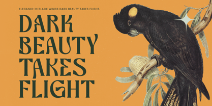 Bottarie Font Poster 8