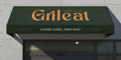 Bottarie Font Poster 9