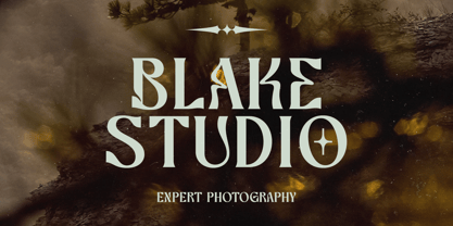 Bottarie Font Poster 5