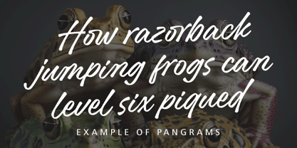 Confides Font Poster 11