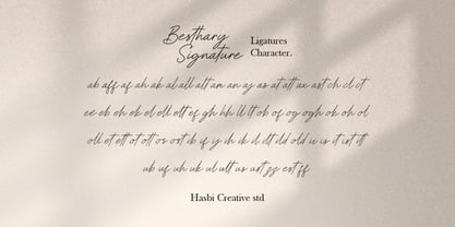 Besthary Font Poster 11