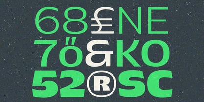 Pocas Font Poster 9