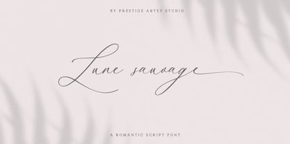 Lune Sauvage Font Poster 1