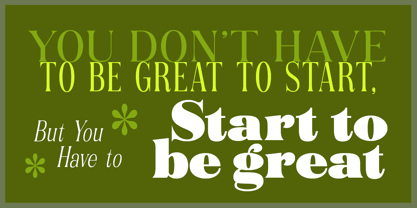 Rogersa Font Poster 14