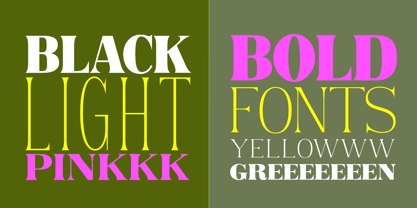 Rogersa Font Poster 11