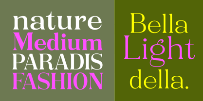 Rogersa Font Poster 6