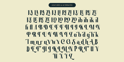 Garaleo Font Poster 15