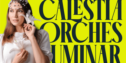 Garaleo Font Poster 10