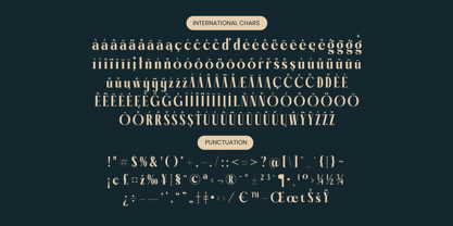 Garaleo Font Poster 14