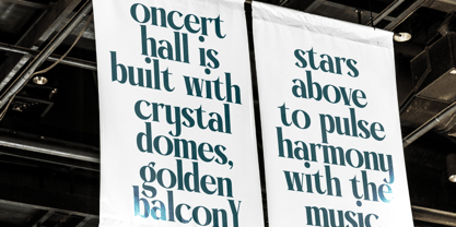 Garaleo Font Poster 12