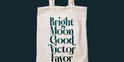 Garaleo Font Poster 7