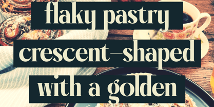 Garaleo Font Poster 6