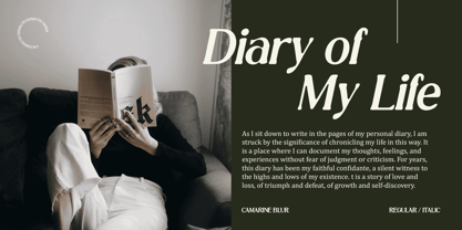 Camarine Blur Font Poster 2